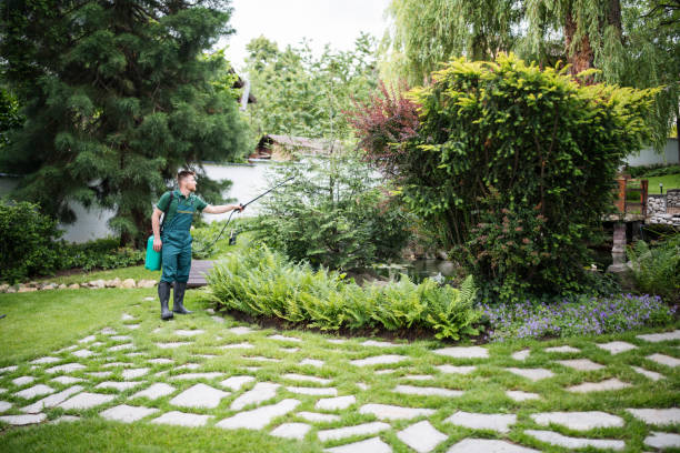 Best Best Pest Control Companies  in Primera, TX