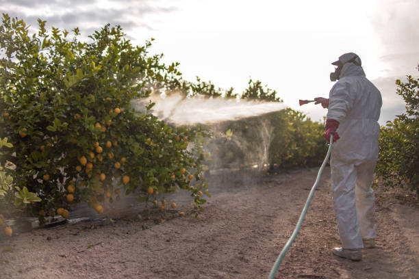 Pest Control Cost in Primera, TX