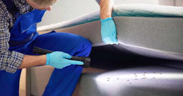Best Affordable Pest Control Services  in Primera, TX