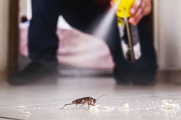 Best Affordable Pest Control Services  in Primera, TX