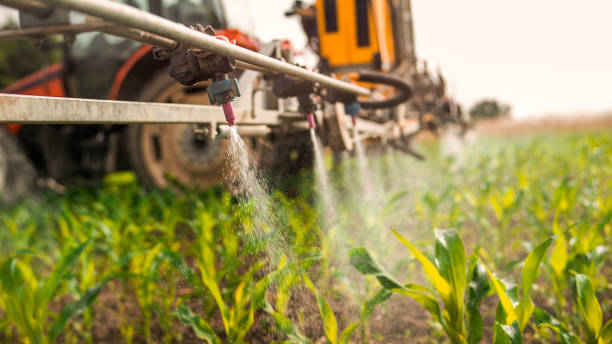 Best Commercial Pest Control Services  in Primera, TX